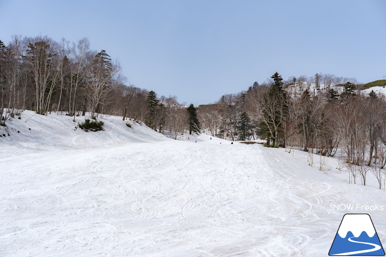 富良野スキー場｜高度感たっぷり、標高900ｍの別世界。大雪山系を望む絶景と春雪を思いっきり楽しみましょう！